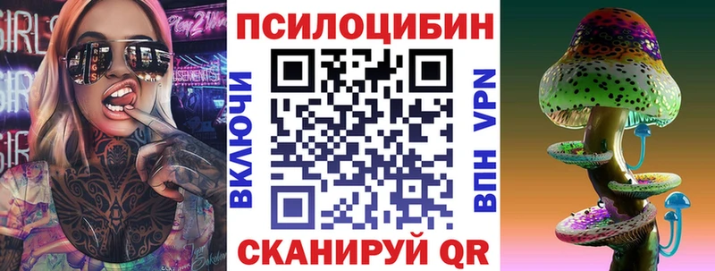 где можно купить   Южно-Сахалинск  Псилоцибиновые грибы Cubensis 